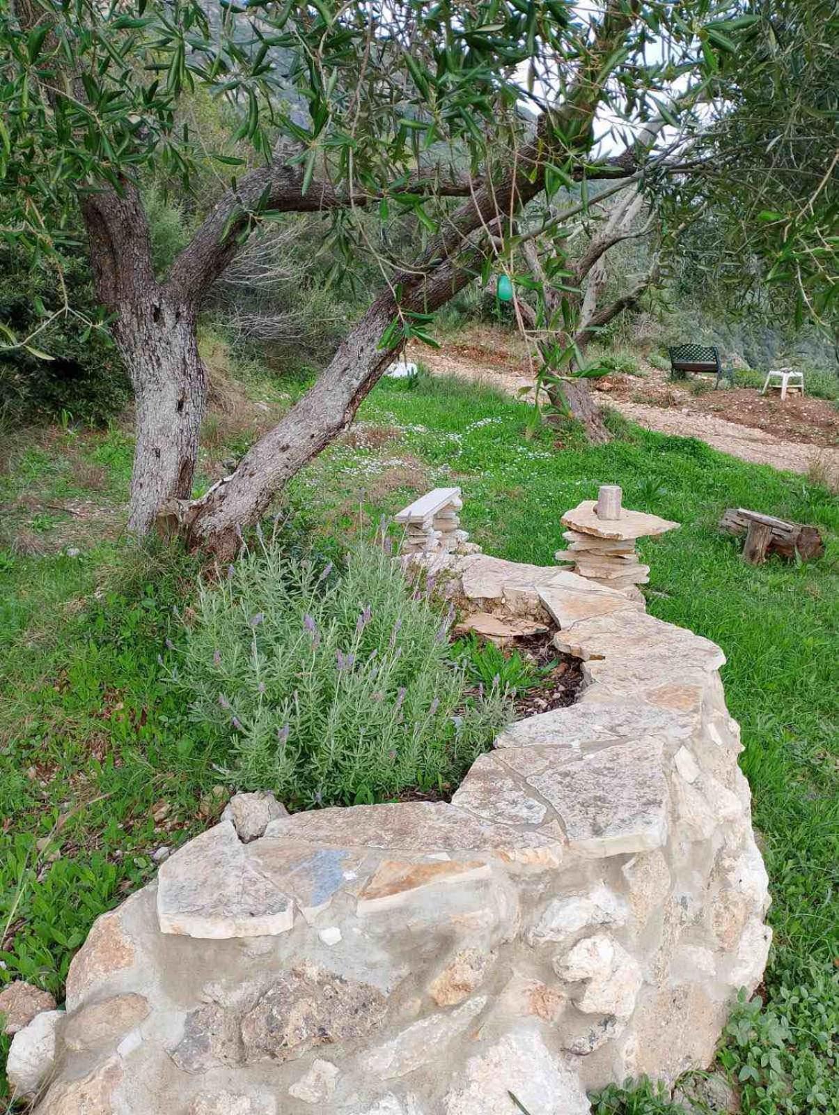 Terraoliva&Herbs Vátos Extérieur photo